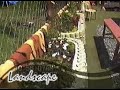 Joy Family Resort