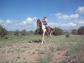 High Plains Mindy