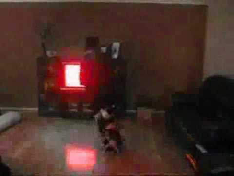 tiny.z - Tiny.Z iss hot and verry cool Musik DJ_Schatzi - for Tiny.Z.