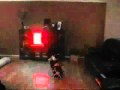 Tiny.Z Shuffle to the music by DJ_Schatzi