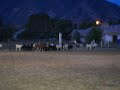 Team Penning Round One