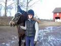 THE STABLES!