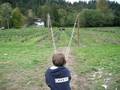 Hunter launches the pumpkin with a slingshot catapult trebuchet