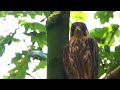 National Park Hoge Kempen
