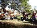 Galhos-Secos-Cover