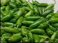Inspectors visiting possible sellers of tainted produce