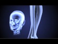 Tour of the EMS 07 - X-Rays