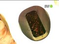 G Word-Composting Toilet G Word-Composting Toilet