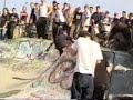 Mike Vallely\