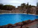 Loro Park