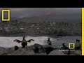 Exploring Oceans: Galapagos