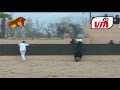 Ver Video