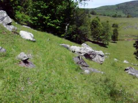 bizarbus - I was able to locate the area using ordinary mapquest satellite images. The