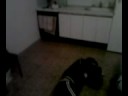 10-11-08_2004.avi