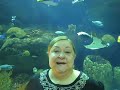 [Learn and Earn ]Where is [Sue DeBrule] part 4 www.suedebrule.com