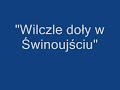 Wilcze doły
