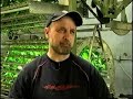 Omega Garden Hydroponic System