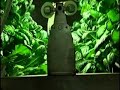 Omega Garden Hydroponic System