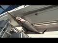 KingFish