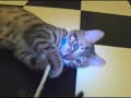 Rurik and Carabas play