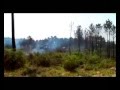 PINHAL DOS FRADES Nova destruição
