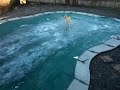 Ice skating on the frozen pool