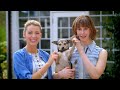 in this episode, actress blake lively joins elettra wiedemann to recreate one of her favorite personal recipes, sausage and brie puff pastry, using locally s...