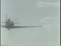 FW 190 Shot by Ami
