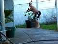 Search Video