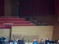 POI DOG PONDERING @ Millennium Park