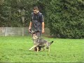 Jabina Rie Obedience