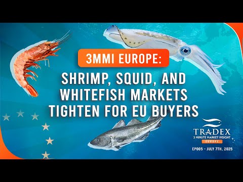 3MMI Europe - Shrimp, Squid, and Whitefish Markets Tighten for EU Buyerst