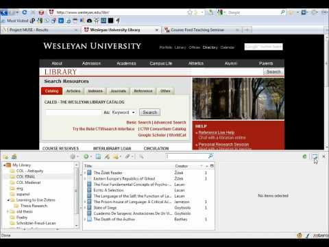 how to organize zotero