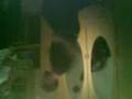 videos de Onur.ugur.box.2.3gp