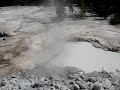Mud and Steam - Mud Volcano Area Yellowstone