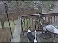 max outside max outside