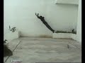 Parkour Tunisie 2006/2007