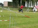 Fehring 2