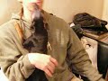 perro cirquero