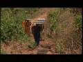 Barefoot women who make light