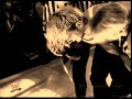 Jeff Hardy- Hero