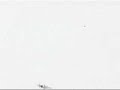 Search Video