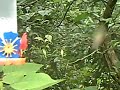 parc des oiseaux diguazu
