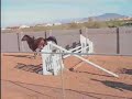 my-lovely-eventing-pony.html