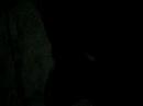 castrando a lucio