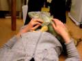 videos de Golden Slumber with Green Iguana Sebastian