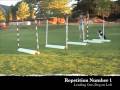 Ness SS Jump Grids