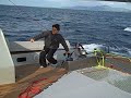 Sig 45 fast production Catamaran Sig 45 fast production Catamaran