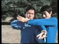 Bagua Survey