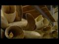 The controversial sale of ivory in southern Africa - Nov 5 08